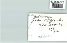 24395 W2342 Gelting , Angeln FOTO KEINE AK Jules Kaffeestuben Innenaufnahme