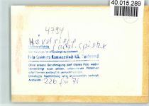 33161 W4794 Hövelriege FOTO KEINE AK Gaststätte Spieker Innenaufnahme