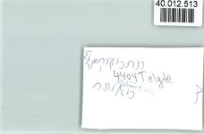 48291 W4404 Telgte FOTO KEINE AK Firma Sieger Geräte- u. Wagenbau Bauwagen