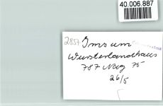 27607 W2857 Imsum FOTO KEINE AK Wursterlandhaus Innenaufnahme
