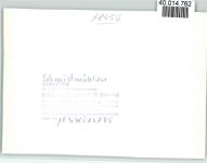 92287 W8456 Schmidmühlen FOTO KEINE AK