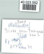 30900 W3001 Mellendorf , Han FOTO KEINE AK Birke vorm Fachwerkhaus