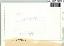 25836 W2256 Vollerwiek FOTO KEINE AK Gaststätte, A&O Laden, Briefkasten, Moped