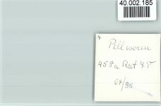 25845 W2251 Pellworm FOTO KEINE AK Innenaufnahme Massage