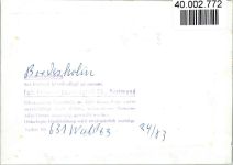 24582 W2352 Bordesholm FOTO KEINE AK Seepromenade
