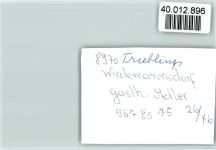 87534 W8974 Wiedemannsdorf FOTO KEINE AK Gasthof Adler