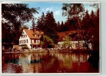32805 W4934 Leopoldstal , Lippe FOTO KEINE AK Waldhotel Pension Silbermühle