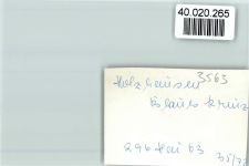 35232 W3563 Holzhausen am Hünstein FOTO KEINE AK Blaues Kreuz