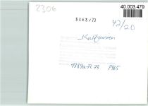 24217 W2306 Kalifornien , Holstein FOTO KEINE AK Luftaufnahme