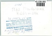 54531 W5562 Manderscheid , Eifel FOTO KEINE AK Heidsmühle
