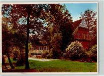 49377 W2848 Vechta FOTO KEINE AK Kaffee Welpe