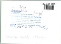 78144 W7741 Tennenbronn FOTO KEINE AK Gasthaus Engel