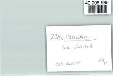 24376 W2340 Hasselberg , Ostsee FOTO KEINE AK Pension Elisabeth