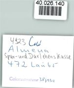 W4923 Almena Spar- u. Darlehnskasse Sparkasse FOTO KEINE AK
