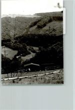 56412 W5431 Horbach , Westerw FOTO KEINE AK Wildpark