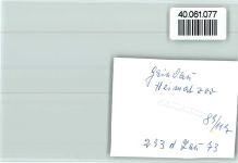 29690 W3033 Grindau FOTO KEINE AK Heimatzoo, Stute mit Pfohlen