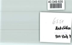 55585 W6551 Hochstätten , Kr Bad Kreuznach FOTO KEINE AK Weinlese