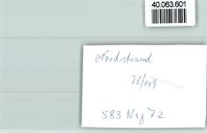 25845 W2251 Nordstrand FOTO KEINE AK