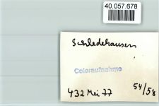 49143 W4516 Schledehausen , Kr Osnabrück FOTO KEINE AK Villa