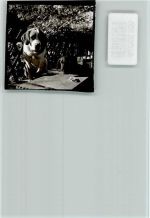 67814 W6765 Dannenfels , Pfalz FOTO KEINE AK Hush Puppie