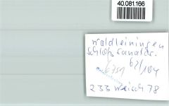 69427 W6933 Waldleiningen , Baden FOTO KEINE AK Schloß Sanatorium
