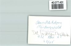 59964 W5789 Oberschledorn FOTO KEINE AK Märchenwald