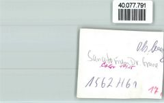 59939 W5787 Olsberg FOTO KEINE AK Sanatorium Dr. Grune
