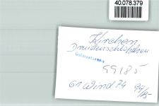 57548 W5242 Kirchen (Sieg) FOTO KEINE AK Druidenschlößchen