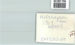 57299 W5909 Holzhausen , Siegerl FOTO KEINE AK