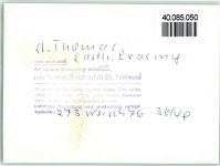 54655 W5524 St Thomas , Eifel FOTO KEINE AK Gasthaus Erasmy