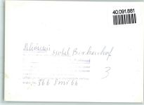 93464 W8491 Schönau , Oberpf FOTO KEINE AK Hotel Birkenhof