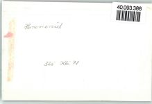 26434 W2942 Horumersiel FOTO KEINE AK Innenaufnahme Bar