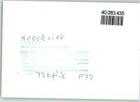 26434 W2942 Hooksiel FOTO KEINE AK Luftaufnahme
