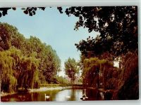 48324 W4415 Sendenhorst FOTO KEINE AK Trauerweiden