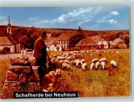W3450 Neuhaus im Solling Schäfer und Schäferhund Schäferhund FOTO KEINE AK