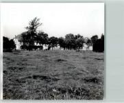 48480 W4441 Schapen , Emsl - Foto TK80