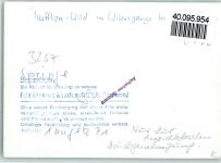 W3257 Springe , Deister Mufflon-Wild im Wisentgehege Tier FOTO KEINE AK