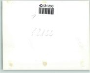 26689 W2913 Apen - Foto TK80