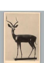Antilope Wiener Kunst