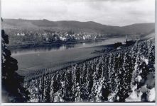 54470 W5553 Wehlen, Mosel - Foto-Karte