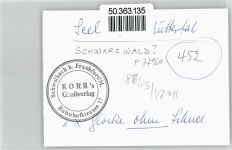 77960 W7633 Seelbach , Schutter - Foto