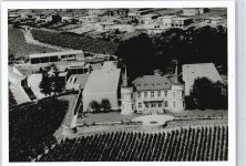 65366 W6222 Johannisberg , Rheingau - Foto Luftaufnahme
