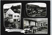 91349 W8551 Schlehenmühle - Gasthaus, Pension Backof