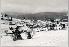 79868 W7828 Altglashütten , Schwarzw - Winter-Karte
