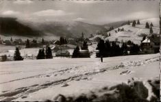 79868 W7828 Altglashütten , Schwarzw
