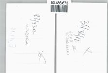 35088 W3559 Dodenau - Foto-Karte