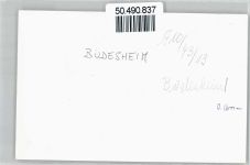 61137 W6369 Büdesheim , Hess - Foto-Karte
