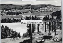 64385 W6149 Ellenbach , Odenw - Panorama Wald Pferd