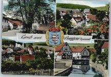 63637 W6485 Burgjoß - Fluss Wappen Panorama