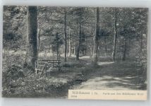 99974 O5700 Mühlhausen , Thür - Partie aus dem Mühlhauser Wald